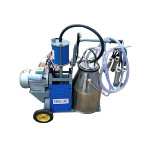 Bucket Milking Machine